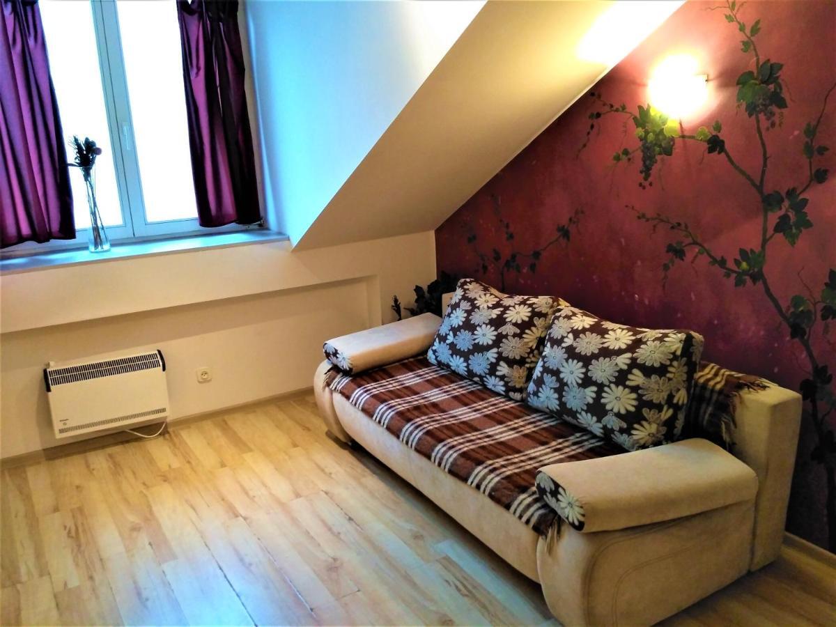 Krakow City Centre Apartment - Bon Turystyczny エクステリア 写真